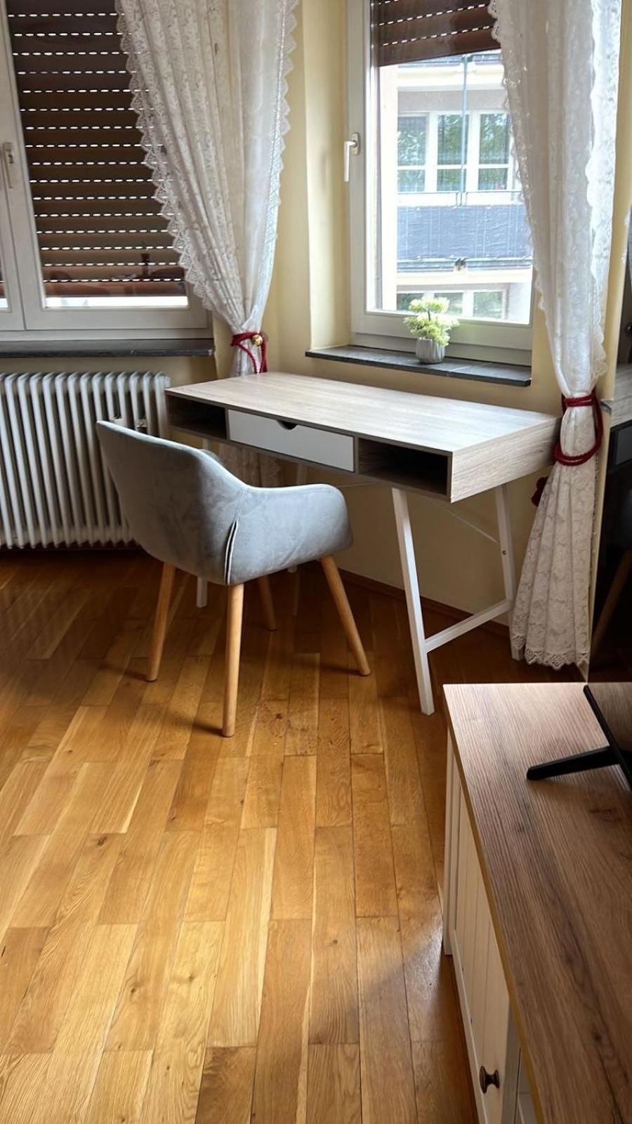 Albert-Schulte-Park Apartment- Вормс Екстер'єр фото
