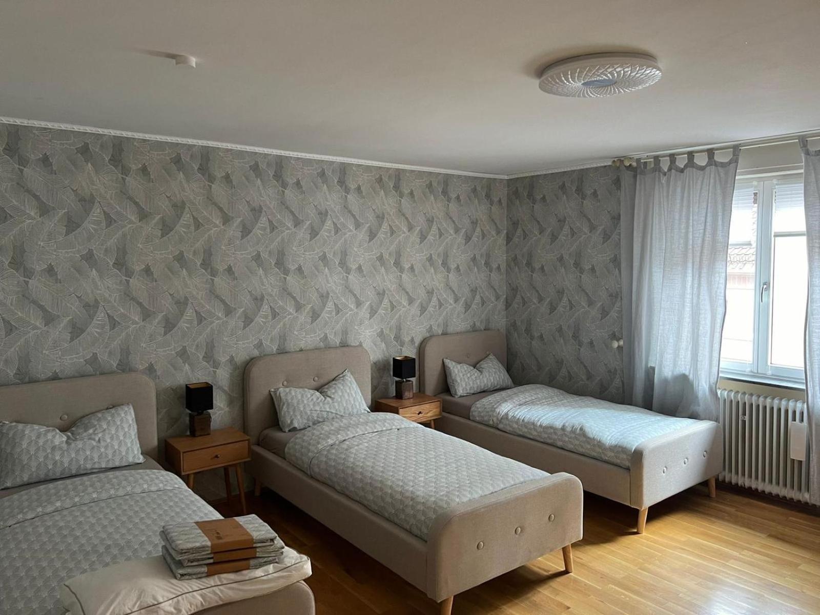 Albert-Schulte-Park Apartment- Вормс Екстер'єр фото